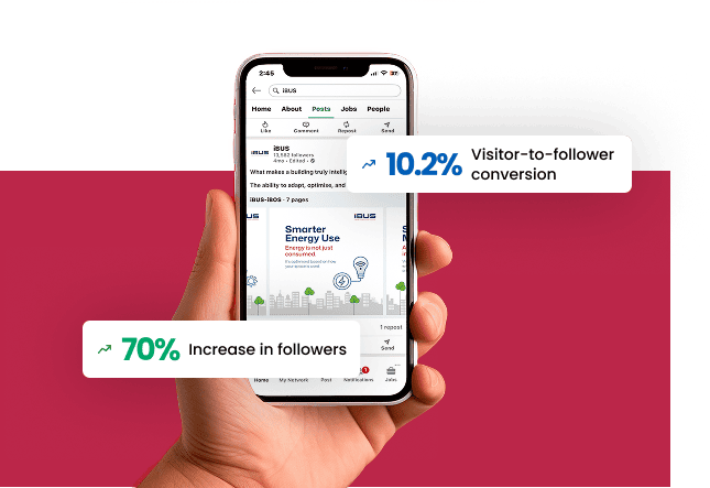 iBUS LinkedIn Growth Strategy